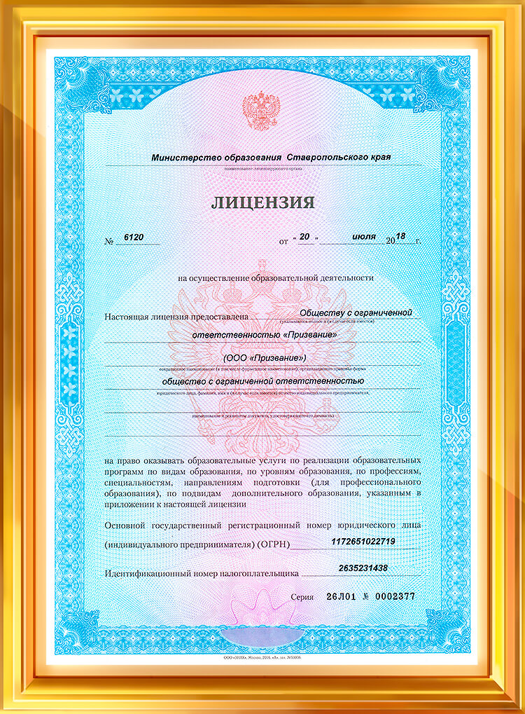 Лицензия